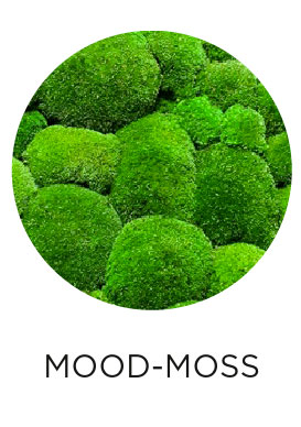 easy green mood-moss